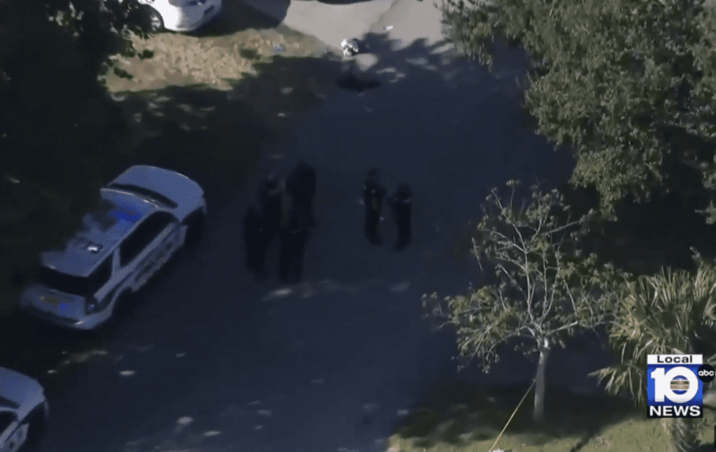 Stabbed and Struck by a Car